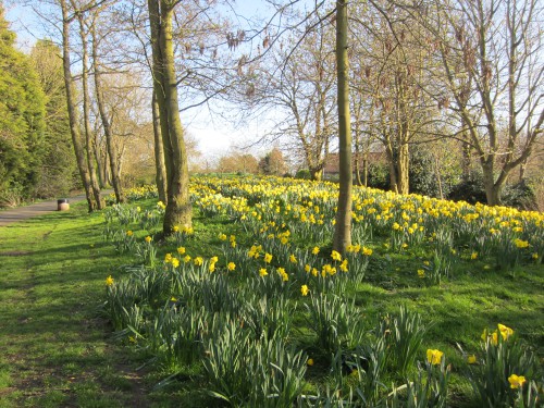 Marie Curie Garden of Hope (Image) - The Friends of Ponteland Park