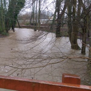 Ponteland park flooded 2016